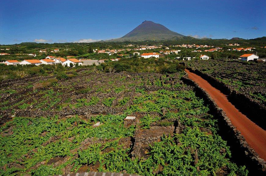 Ilha do Pico